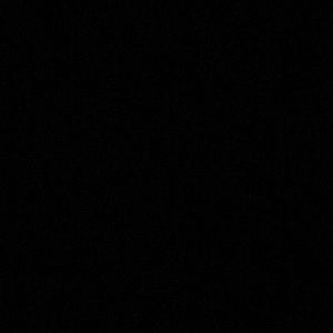 Meet your Posher, Josie